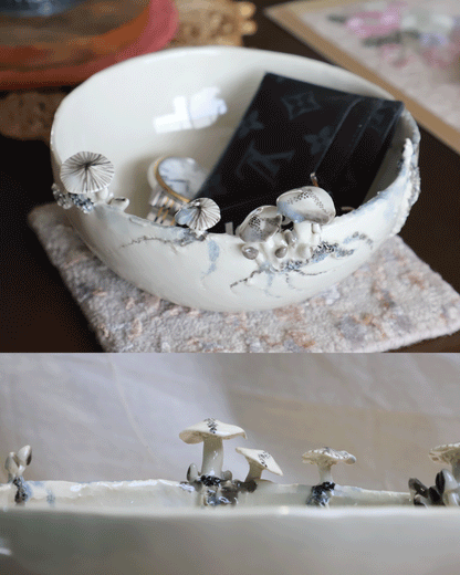Shroom walk on the rim bowl